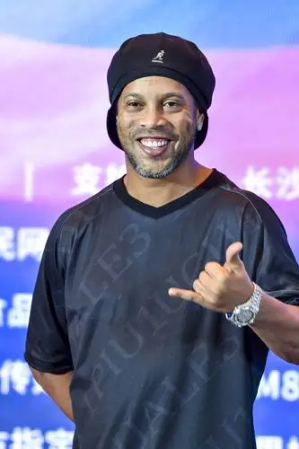 功引入维托