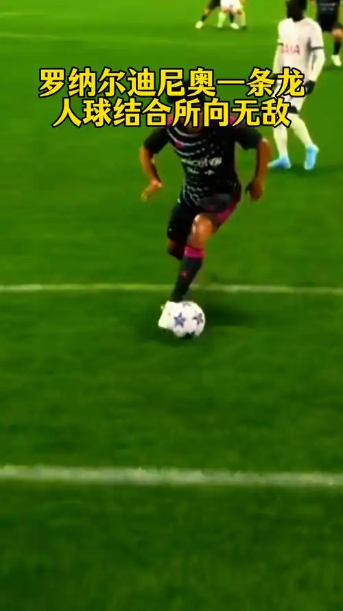 在回顾范戴 在回顾范戴