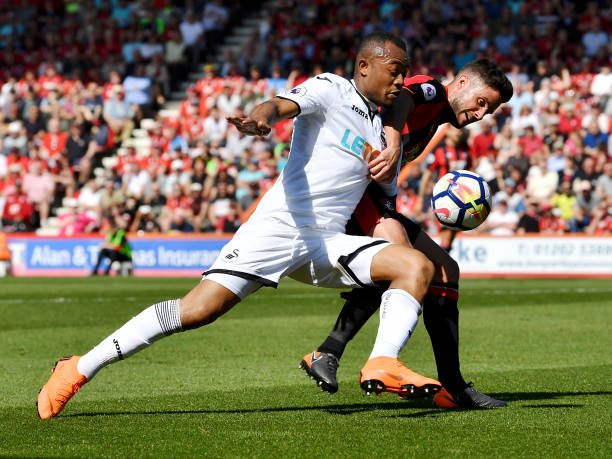 被复制的细 被复制的细